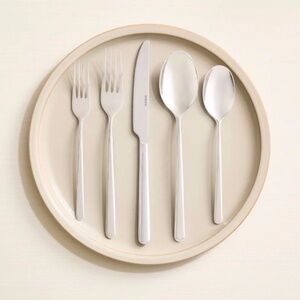 New! Quince x Sambonet Gia Minimalist 20 Piece Flatware Set
